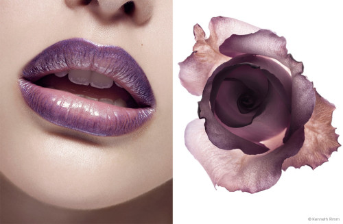 Beauty Photography for ELLE magazine by Beauty Portrait photographer Kenneth Rimm